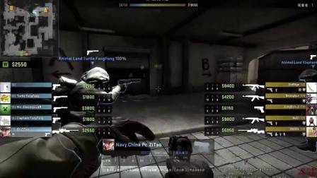 它不仅是一 它不仅是一